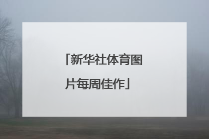 新华社体育图片每周佳作