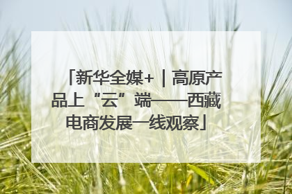 新华全媒+｜高原产品上“云”端——西藏电商发展一线观察