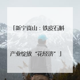 新宁崀山：铁皮石斛产业绽放“花经济”