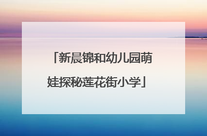 新晨锦和幼儿园萌娃探秘莲花街小学