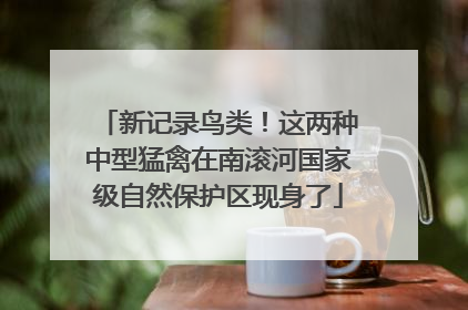 新记录鸟类！这两种中型猛禽在南滚河国家级自然保护区现身了