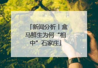 新闻分析丨盒马鲜生为何“相中”石家庄