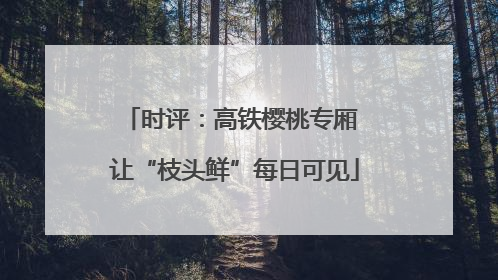 时评：高铁樱桃专厢 让“枝头鲜”每日可见