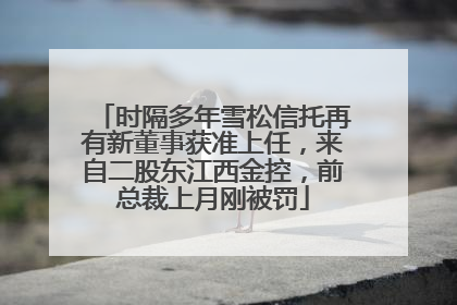 时隔多年雪松信托再有新董事获准上任，来自二股东江西金控，前总裁上月刚被罚