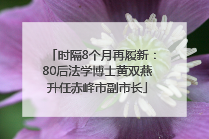 时隔8个月再履新：80后法学博士黄双燕升任赤峰市副市长