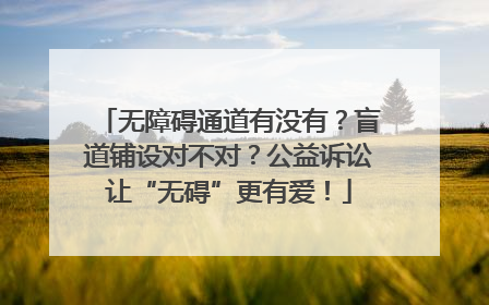 无障碍通道有没有？盲道铺设对不对？公益诉讼让“无碍”更有爱！