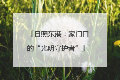 日照东港：家门口的“光明守护者”
