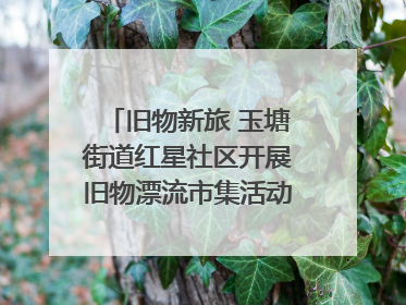 旧物新旅 玉塘街道红星社区开展旧物漂流市集活动   