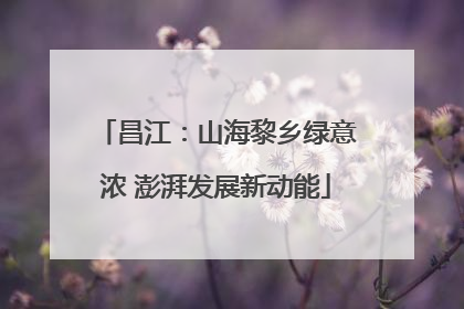 昌江：山海黎乡绿意浓 澎湃发展新动能
