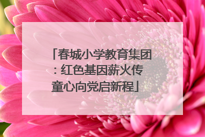 春城小学教育集团：红色基因薪火传 童心向党启新程
