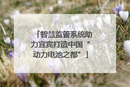 智慧监管系统助力宜宾打造中国“动力电池之都”