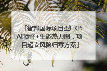 智邦国际项目型ERP:AI预警+生态热力图，项目超支风险归零方案