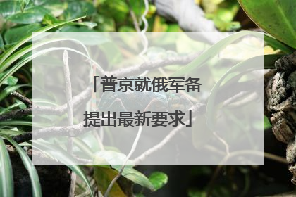 普京就俄军备提出最新要求