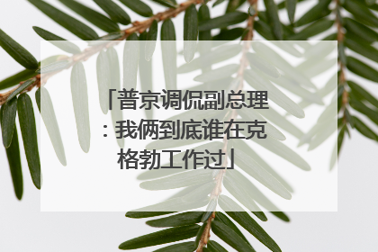 普京调侃副总理：我俩到底谁在克格勃工作过