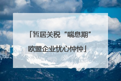 暂居关税“喘息期” 欧盟企业忧心忡忡