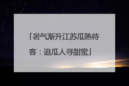 暑气渐升江苏瓜熟待客：追瓜人寻甜蜜