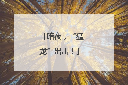 暗夜，“猛龙”出击！