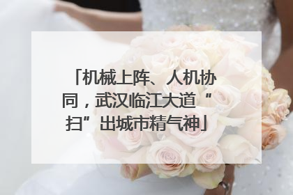 机械上阵、人机协同，武汉临江大道“扫”出城市精气神