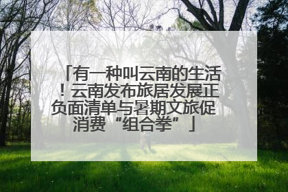 有一种叫云南的生活！云南发布旅居发展正负面清单与暑期文旅促消费“组合拳”