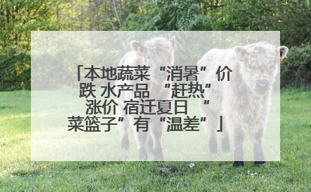 本地蔬菜“消暑”价跌 水产品 “赶热” 涨价 宿迁夏日 “菜篮子”有“温差”