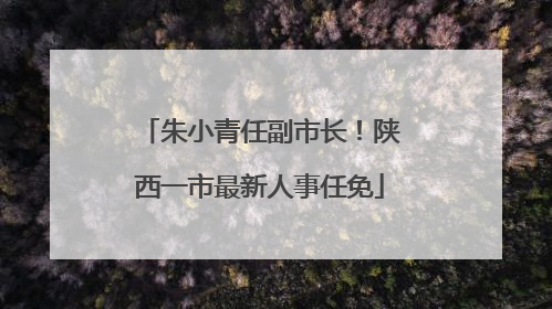 朱小青任副市长！陕西一市最新人事任免