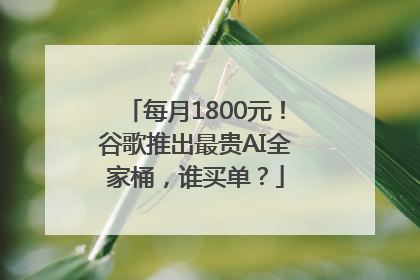 每月1800元！谷歌推出最贵AI全家桶，谁买单？
