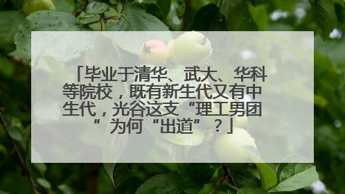 毕业于清华、武大、华科等院校，既有新生代又有中生代，光谷这支“理工男团”为何“出道”？