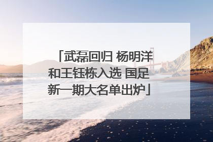 武磊回归 杨明洋和王钰栋入选 国足新一期大名单出炉