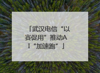 武汉电信“以赛促用”推动AI“加速跑”