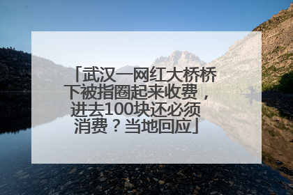 武汉一网红大桥桥下被指圈起来收费，进去100块还必须消费？当地回应