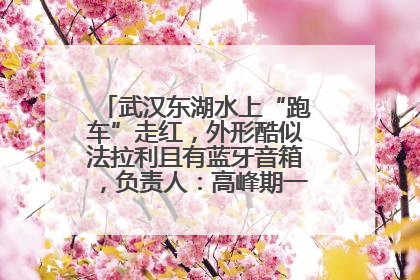 武汉东湖水上“跑车”走红，外形酷似法拉利且有蓝牙音箱，负责人：高峰期一两百人排队
