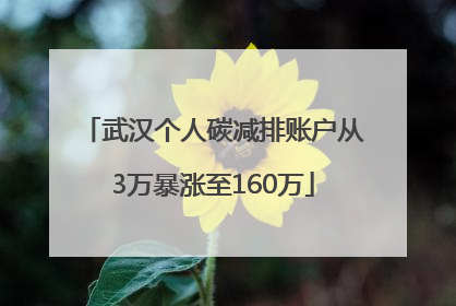 武汉个人碳减排账户从3万暴涨至160万