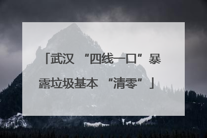 武汉 “四线一口”暴露垃圾基本 “清零”