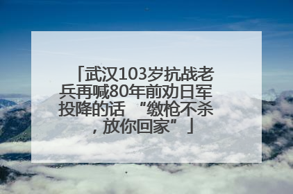 武汉103岁抗战老兵再喊80年前劝日军投降的话 “缴枪不杀，放你回家”