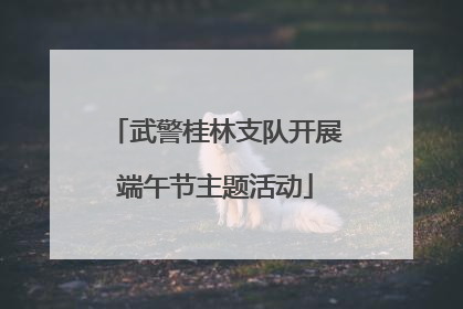 武警桂林支队开展端午节主题活动