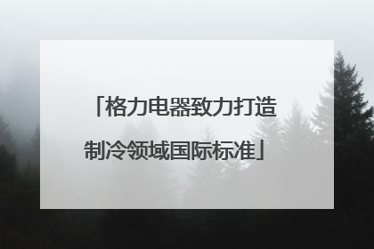格力电器致力打造制冷领域国际标准