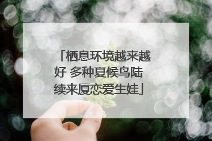 栖息环境越来越好 多种夏候鸟陆续来厦恋爱生娃