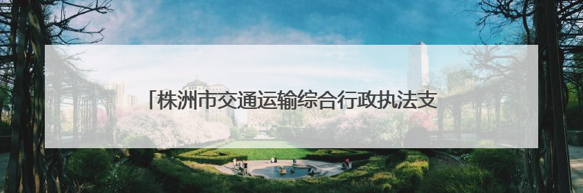 株洲市交通运输综合行政执法支队组织开展防汛应急救援演练