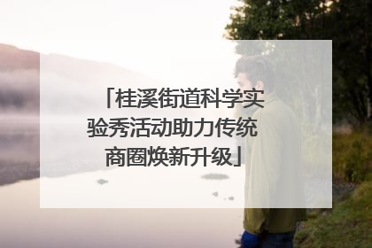 桂溪街道科学实验秀活动助力传统商圈焕新升级