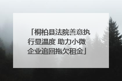 桐柏县法院善意执行显温度 助力小微企业追回拖欠租金