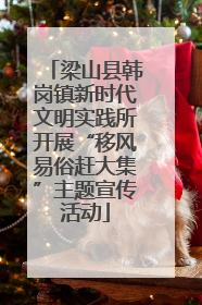 梁山县韩岗镇新时代文明实践所开展“移风易俗赶大集”主题宣传活动