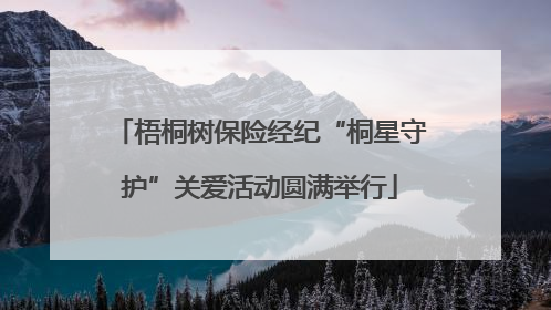 梧桐树保险经纪“桐星守护”关爱活动圆满举行