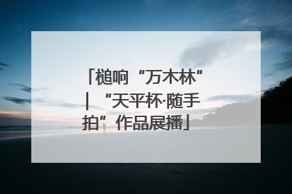 槌响“万木林”｜“天平杯·随手拍”作品展播