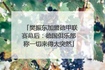 樊振东加盟德甲联赛幕后：德国俱乐部称一切来得太突然