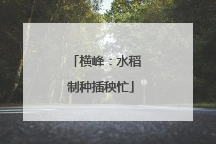 横峰：水稻制种插秧忙