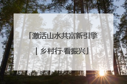 激活山水共富新引擎｜乡村行·看振兴