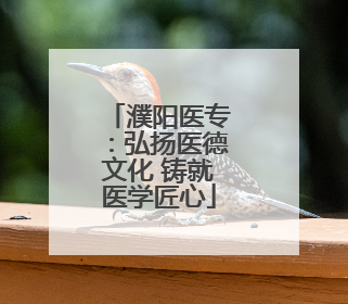 濮阳医专：弘扬医德文化 铸就医学匠心