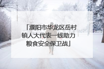 濮阳市华龙区岳村镇人大代表一线助力粮食安全保卫战