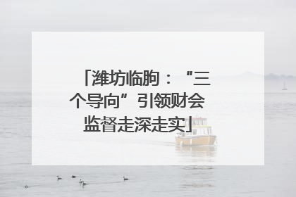 潍坊临朐：“三个导向”引领财会监督走深走实