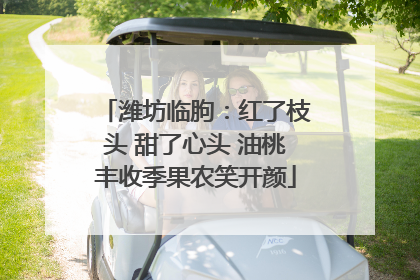 潍坊临朐：红了枝头 甜了心头 油桃丰收季果农笑开颜